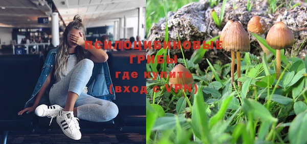 прущая мука Беломорск