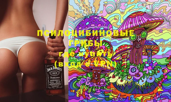 дживик Богородск