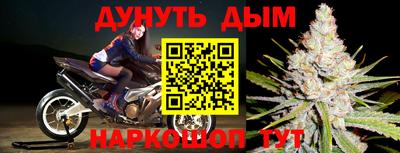 прущие грибы Комсомольск-на-Амуре