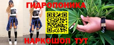 прущие грибы Комсомольск-на-Амуре