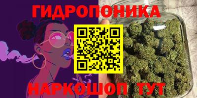 прущие грибы Комсомольск-на-Амуре