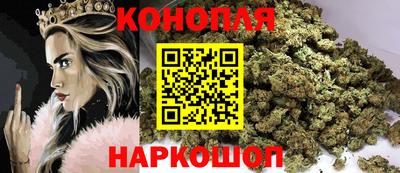 прущие грибы Комсомольск-на-Амуре