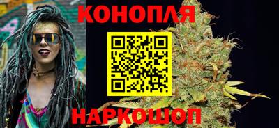 прущие грибы Комсомольск-на-Амуре