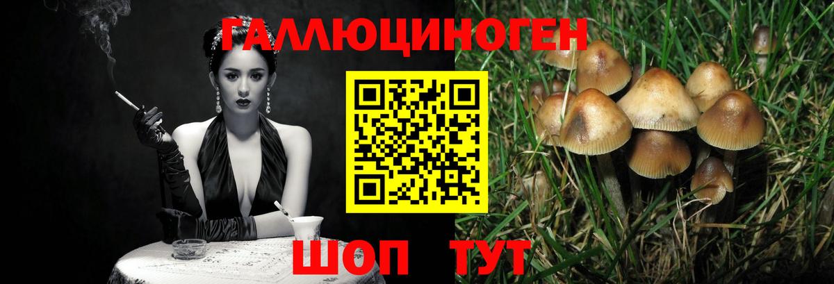 Псилоцибиновые грибы Magic Shrooms Кушва
