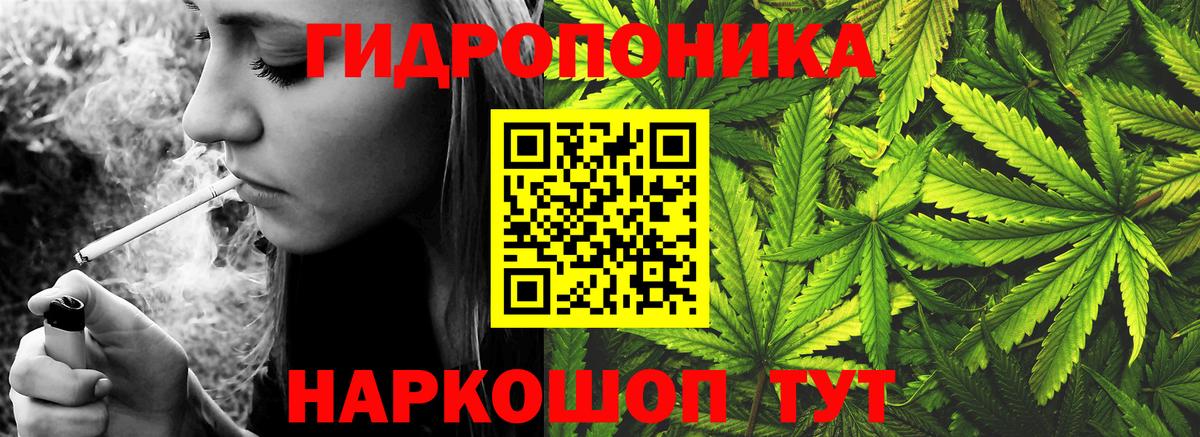 Гашиш Кушва